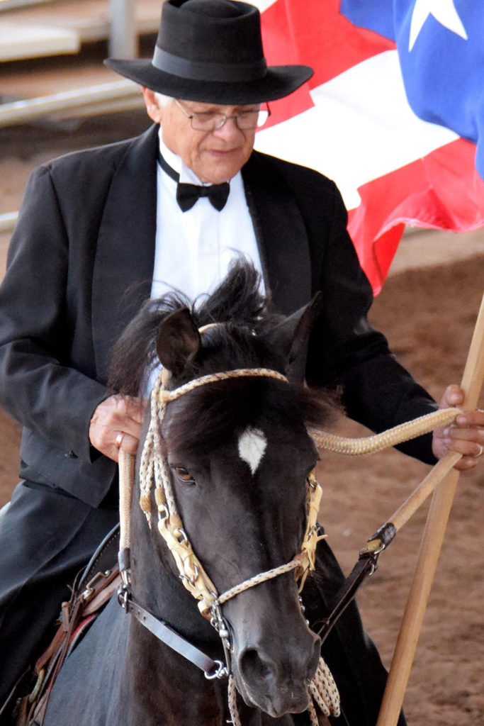 Pure Puerto Rican Paso Fino horse with PR flag